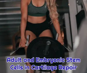 Adult and Embryonic Stem Cells in Cartilage Repair