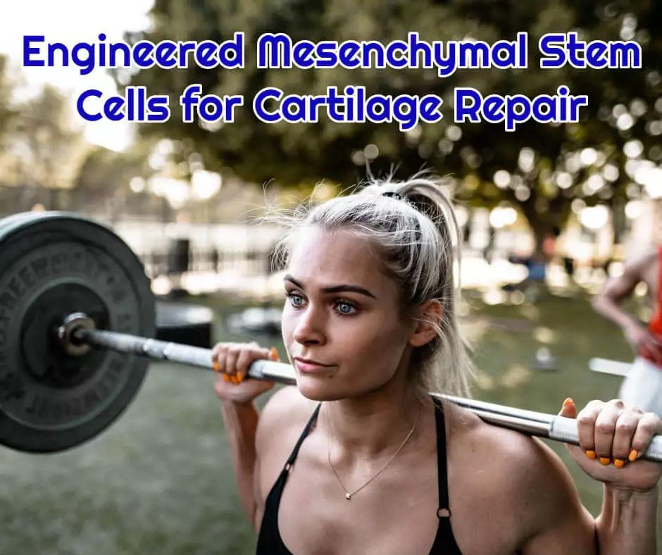 Engineered Mesenchymal Stem Cells for Cartilage Repair