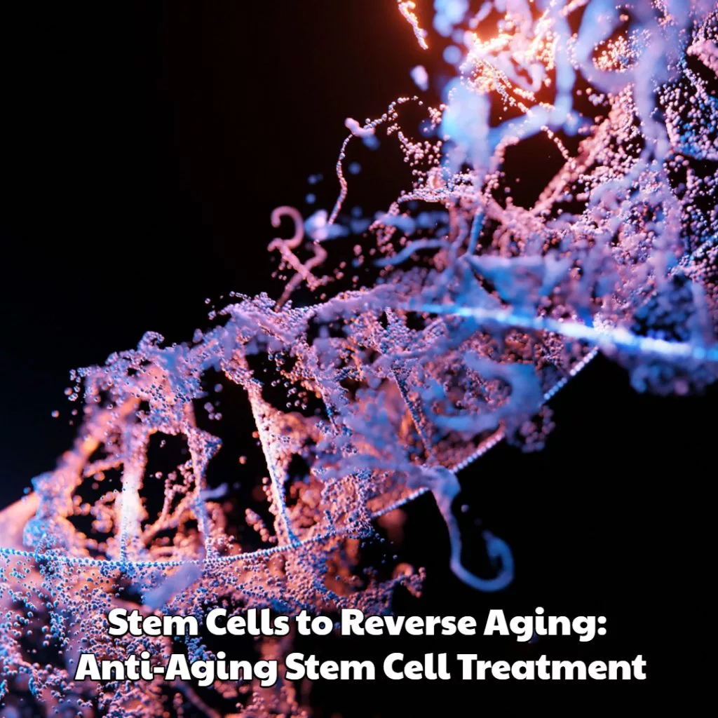 Anti-Aging Stem Cell Treatment